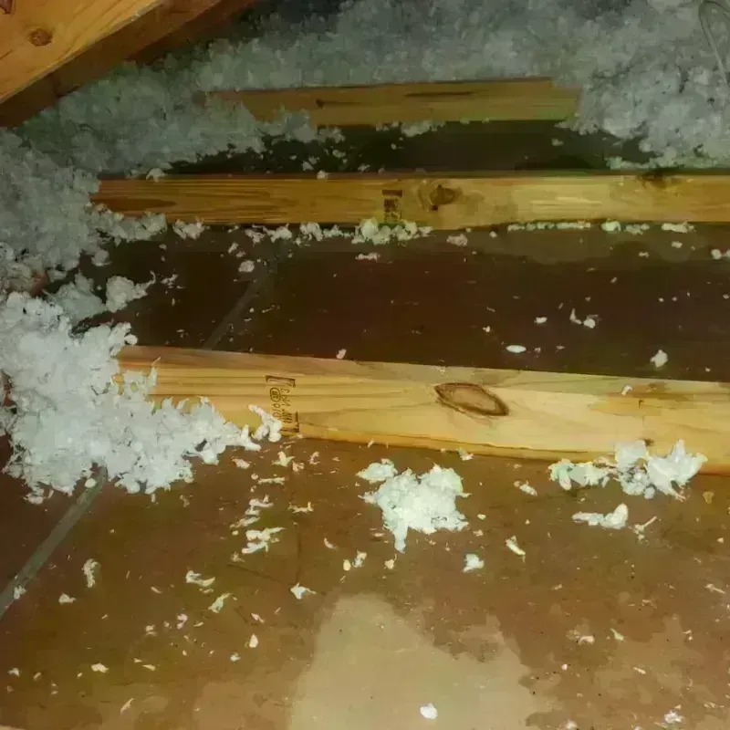 Attic Water Damage in Laconia, NH