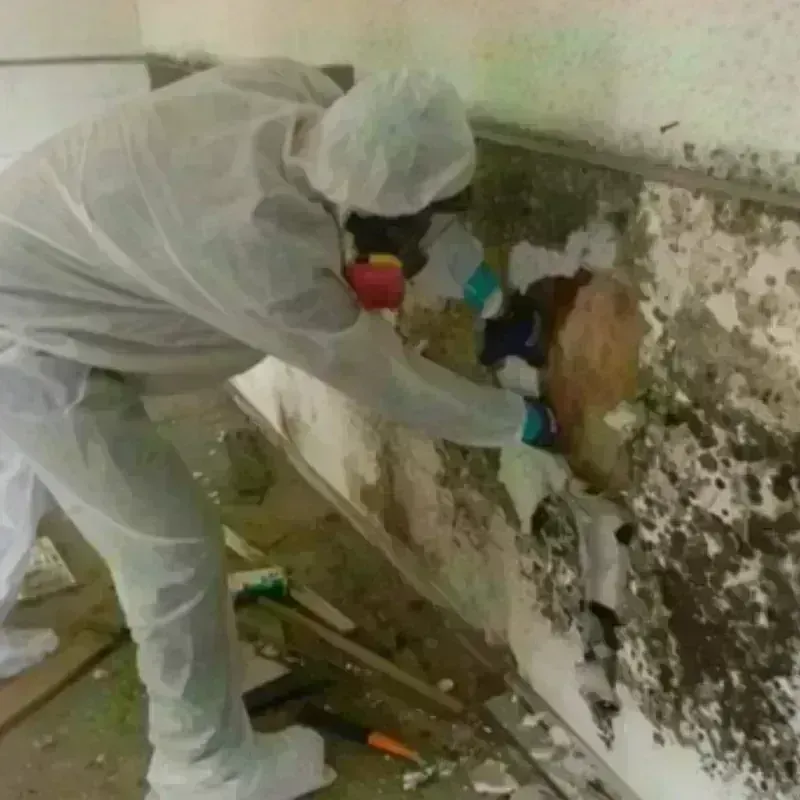 Mold Remediation and Removal in Laconia, NH